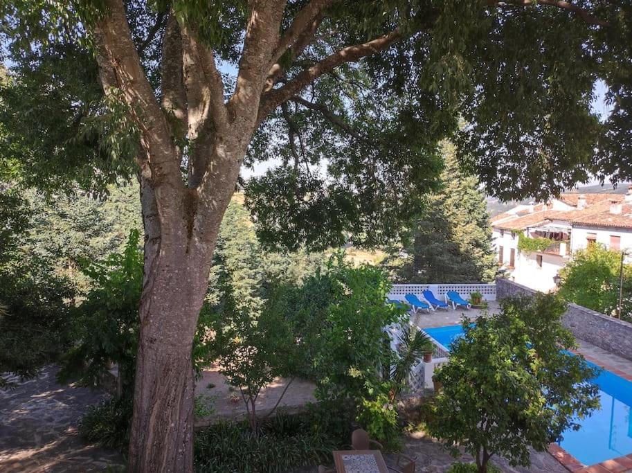 Casa Pomar - Preciosa Casa Con Piscina Y Vistas A La Sierra Villa Грасалема Екстериор снимка